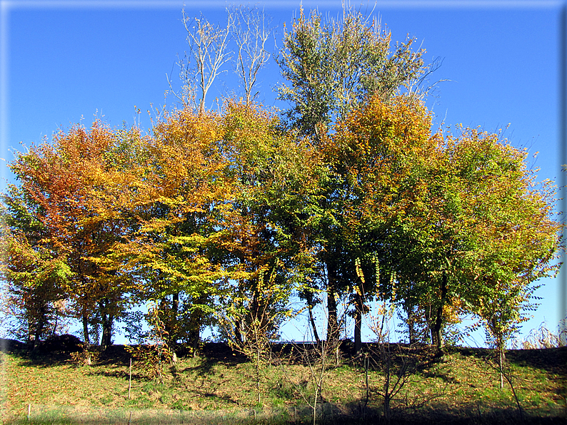 foto Alle pendici del Monte Grappa in Autunno